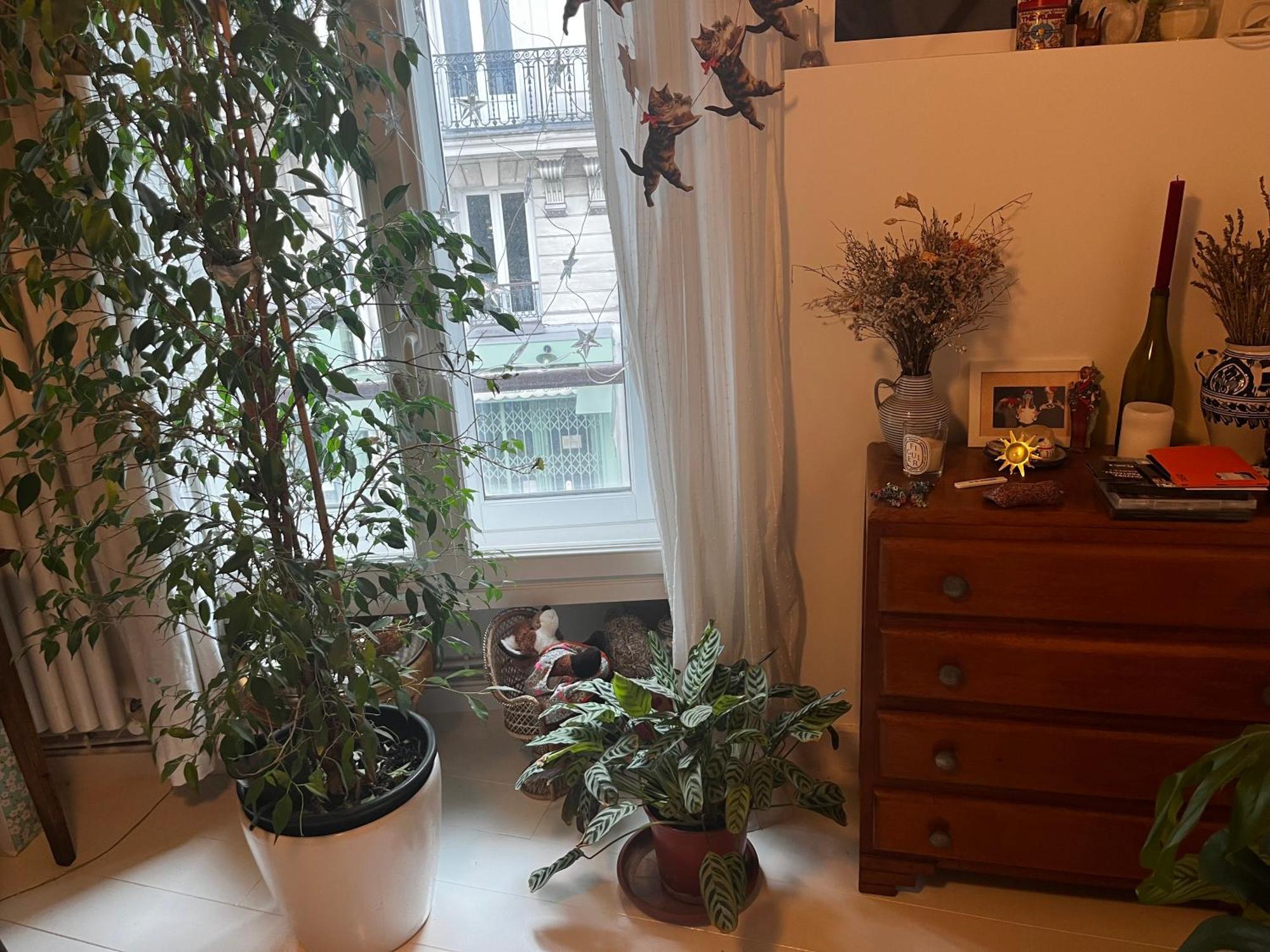 Deux En Plein Coeur De Montmartre, Paris